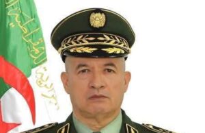 طلب تدخل أمني عاجل لمكافحة عصابات الأحياء وحماية المواطنين والممتلكات