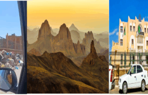 نداء استغاثة من سكان تمنراست من أجل تنظيف المدينة وغرس الأشجار لحماية الجمال والبيئة وجلب السياح