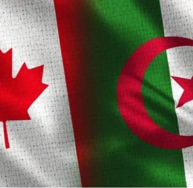 310082218_428629199376126_8952454777041457417_n