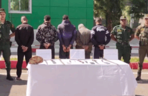ثقافة التبليغ عن الفساد… ركيزة أساسية لبناء دولة القانون