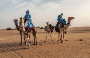 من قلب الصحراء الكبرى تاقريرة، طاسيلي نهقار – تمنراست، الجزائر