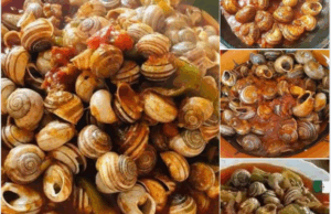 “الببوش” أو “بوجغللو” طبق تلمسان التقليدي الذي لا يُفوّت 🐌